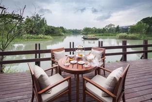 吃瓜娱乐杭州椰子宾馆,揭秘网红酒店背后的吃瓜娱乐故事  第1张