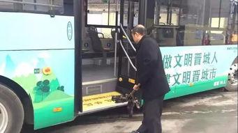 晋城公交爆料最新消息,揭秘新线路及优化调整详情 第1张 晋城公交爆料最新消息,揭秘新线路及优化调整详情 第1张